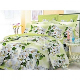 Постельное белье Вилюта 9983
