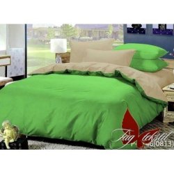 Двустороннее постельное бельё "TAG" Р-0146(0813) Двустороннее постельное бельё "TAG" Р-0146(0813)