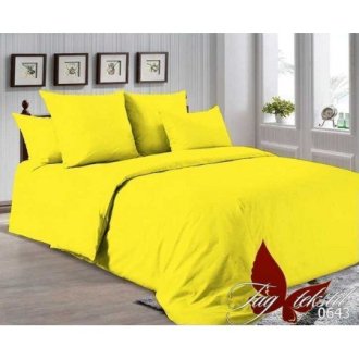 Однотонное постельное бельё TAG (Украина) поплин Р-0643