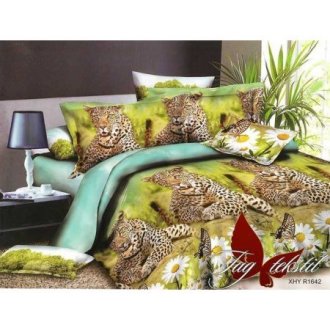 3D комплект поликоттон XHY1642 3D комплект поликоттон XHY1642