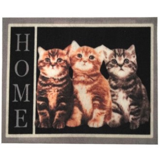 Коврик придверный IzziHome Magic 40x60 Home Üç Kedi