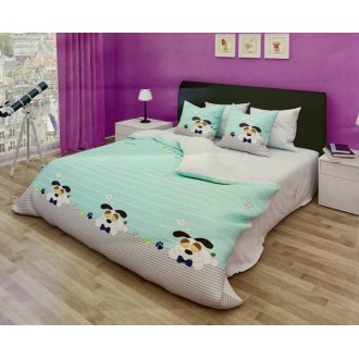 Подростковое постельное белье Pretty ранфорс GL0225