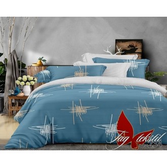 Постельное бельё TAG (Украина) сатин S234