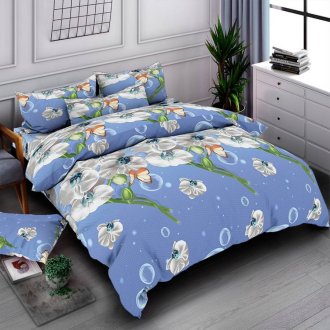 Постельное белье Sofia (Украина) ранфорс СР-062 Постельное белье Sofia (Украина) ранфорс СР-062