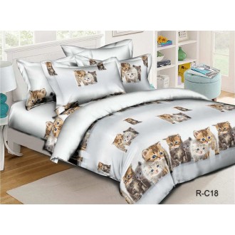Подростковое постельное белье TAG R-C18