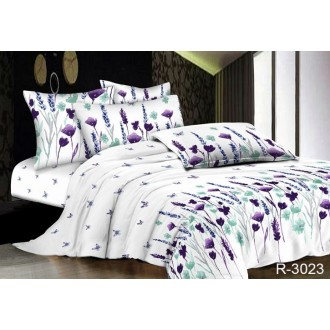 Постельное белье TAG (Украина) ранфорс R3023