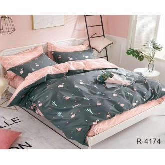 Комплект постільної білизни ранфорс TAG R4174