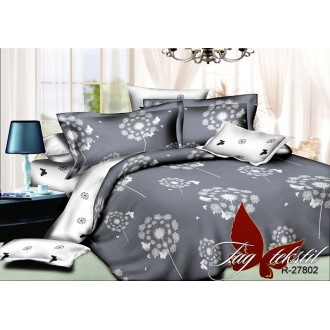 Комплект постельного белья TAG R27802  
