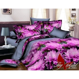 Комплект постельного белья TAG R2041 