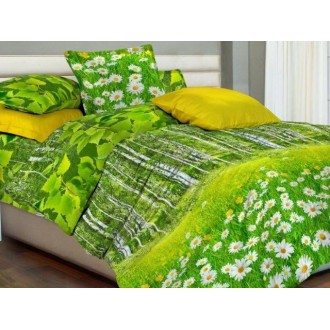 Постельное бельё Novita Premium cotton 6344