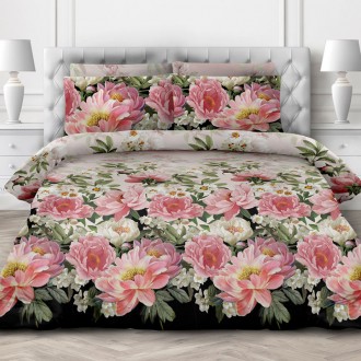 Постельное бельё Novita Premium cotton 6439