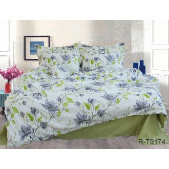 Постельное белье TAG (Украина) ранфорс R-T9174