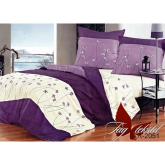 Постельное бельё TAG (Украина) ранфорс R2051