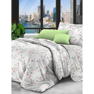 Постельное бельё сатин Moon Love ST151 Постельное бельё сатин Moon Love ST151