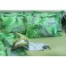 Постельное белье TAG (Украина) ранфорс R-9247 Зеленое