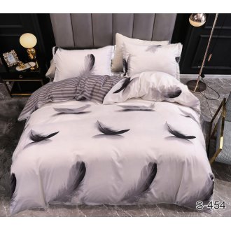 Постельное бельё Tag (Украина) сатин S454
