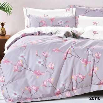 Комплект постельного белья Вилюта (Украина) ранфорс 20116