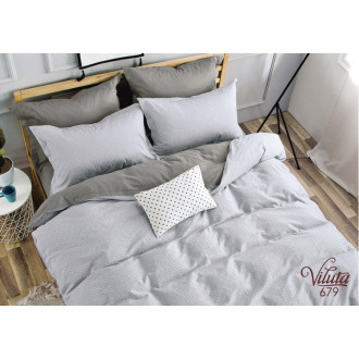 Постельное бельё Вилюта (Украина) сатин 679